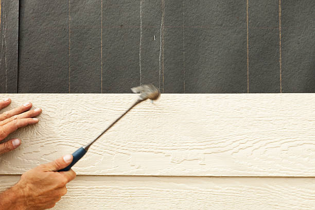 Affordable Siding Repair and Maintenance Services in Venice, IL